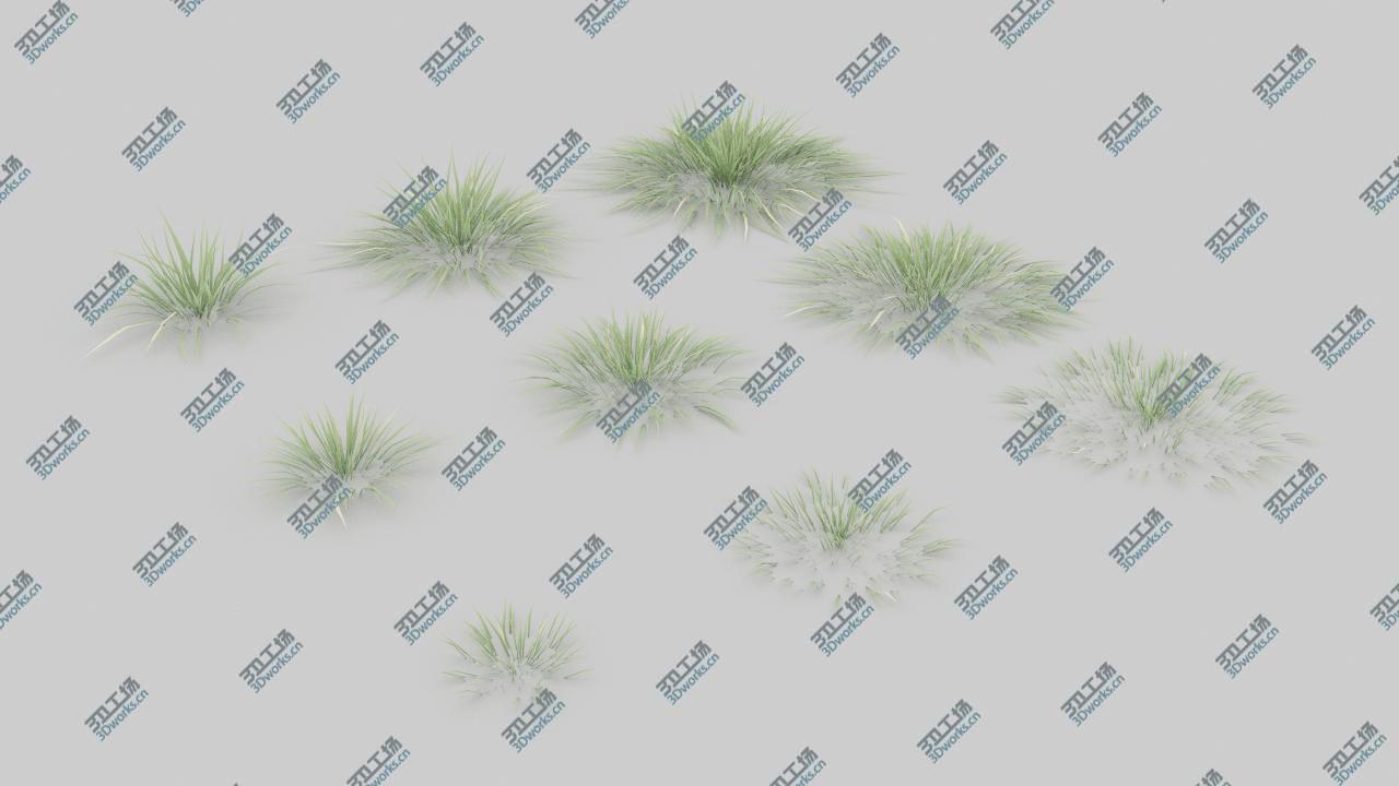 images/goods_img/20210319/3D 20 Summer Ground Plants/3.jpg